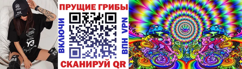 Галлюциногенные грибы Psilocybine cubensis  Купить где  Арзамас 